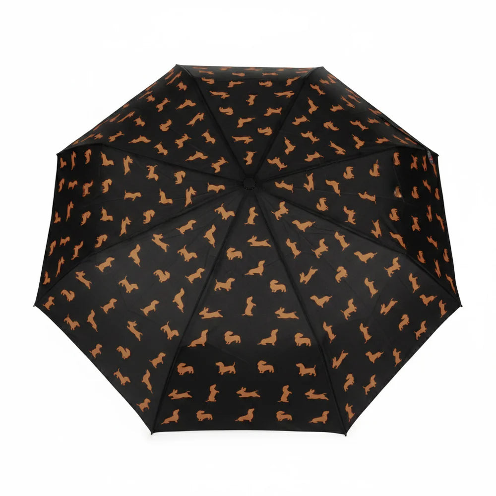 detalle paraguas abierto estampado perro teckel negro Balvi original accesorio lluvia Cotton Grey
