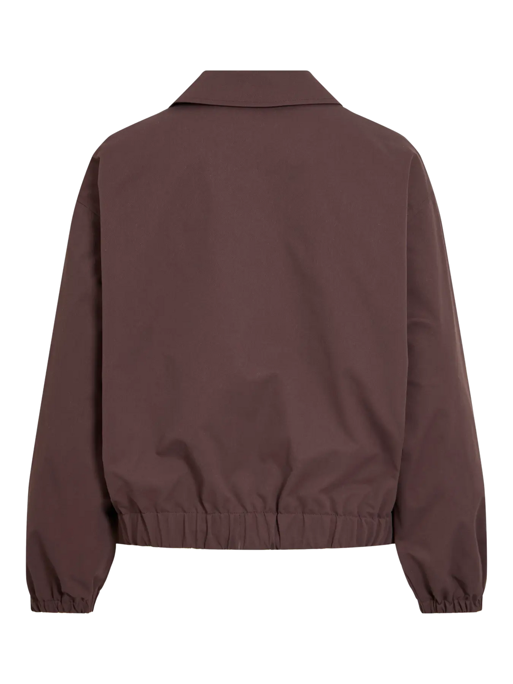 Bomber Kiwi
