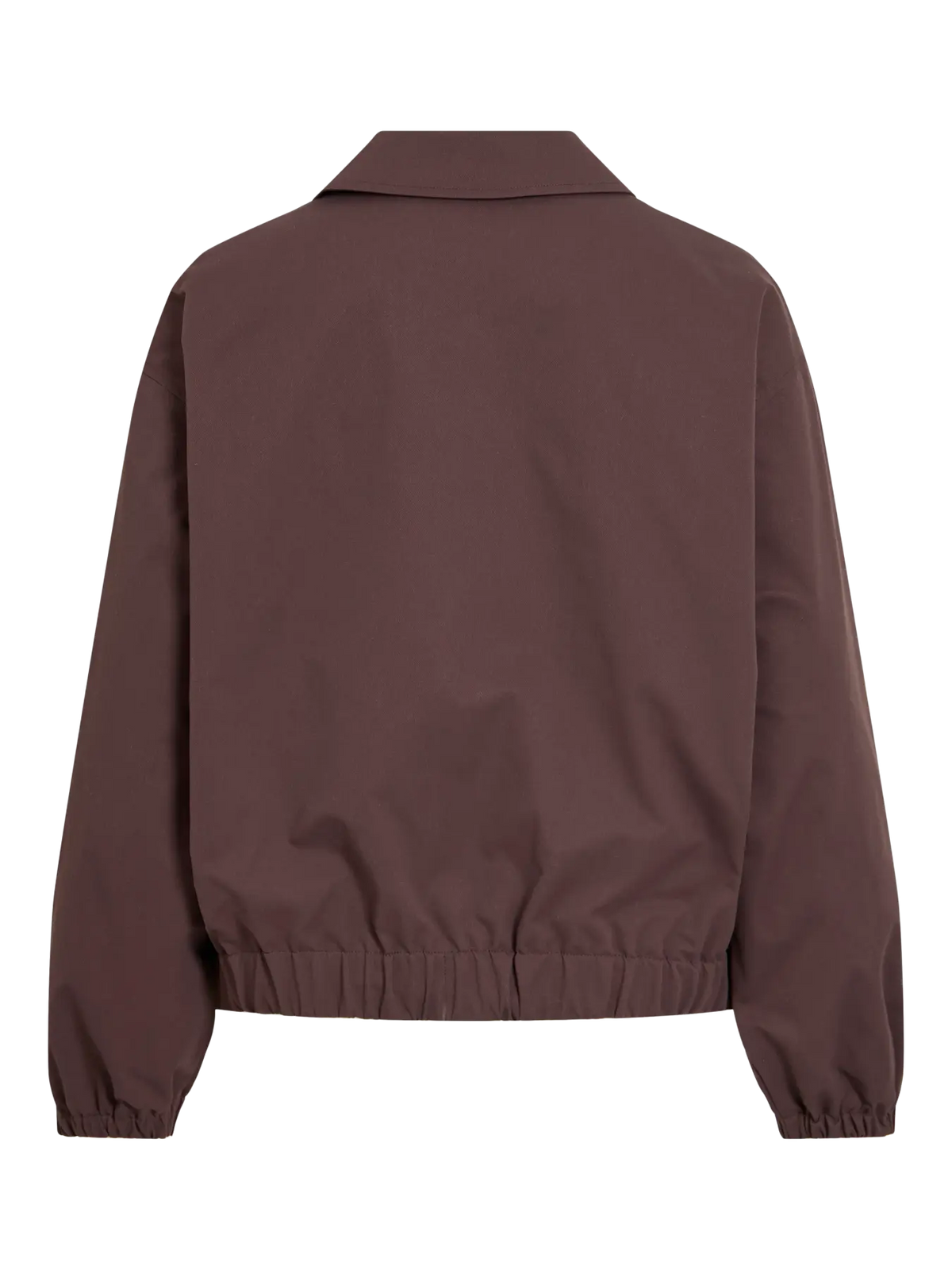 Bomber Kiwi