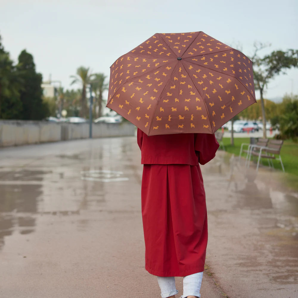 look de lluvias paraguas abierto perro plegable balvi cotton grey piedras blancas asturias
