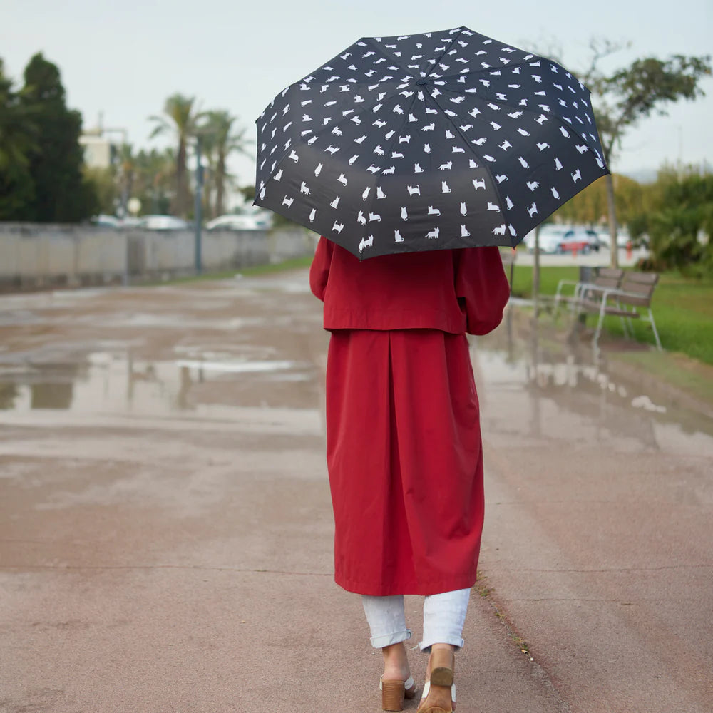 look de lluvia paraguas gato plegable balvi cotton grey piedras blancas asturias
