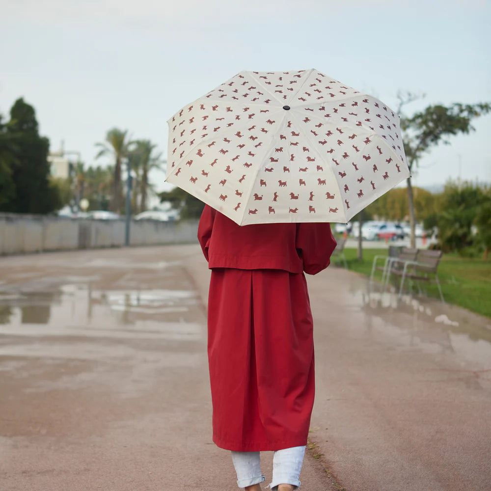 look de lluvia paraguas perro plegable balvi cotton grey piedras blancas asturias
